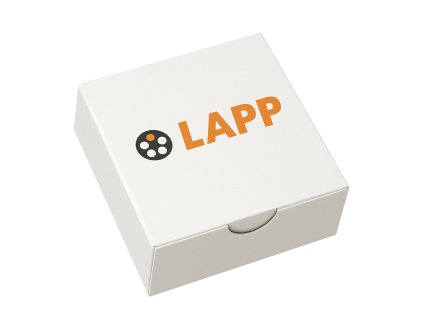 LAPP ChatGPT 2