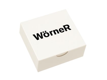 Woerner ChatGPT