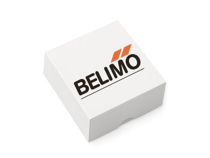 Belimo Canva