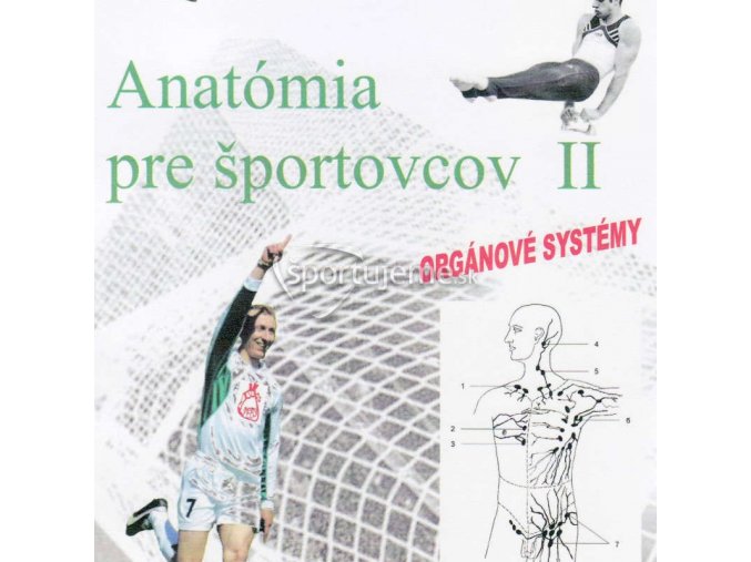 Anatómia pre športovcov II. (Orgánové systémy)