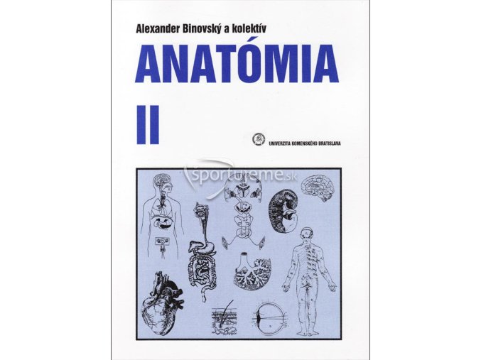 Anatomia II