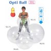 Ledraplastic Hladká Fitlopta OPTI BALL 55cm