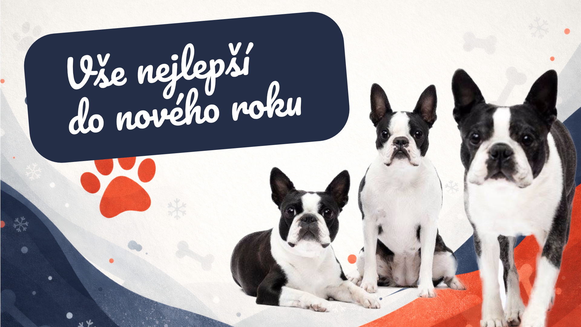 Přejeme vše nejlepší do nového roku