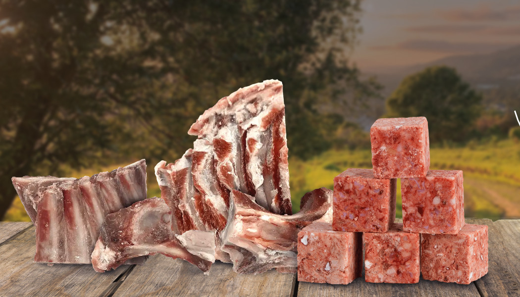 Jehněčí kosti 3x jinak