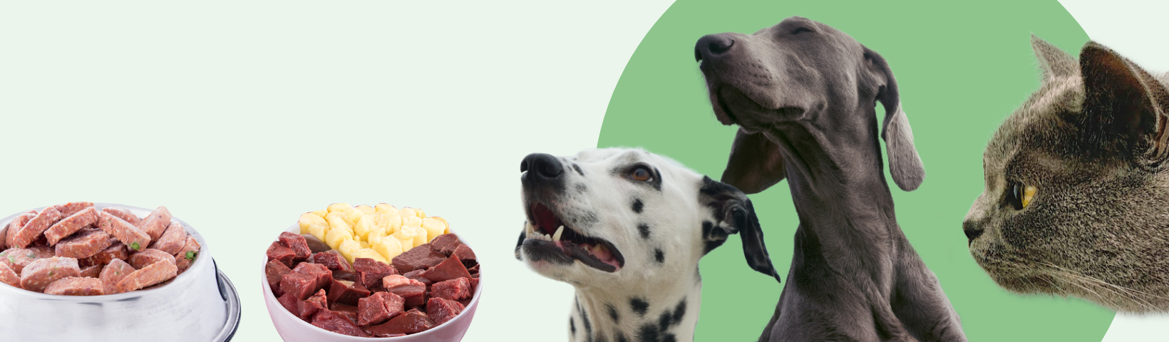 BARF pro psy a kočky