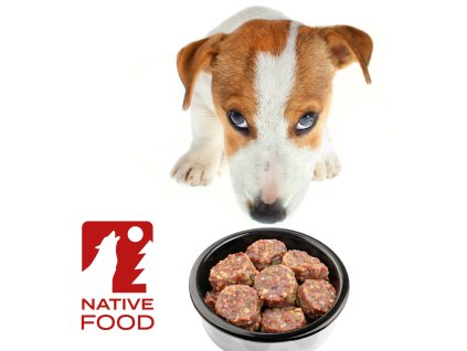 Fitt BARF native food russell