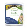 intestin doplněk stravy pro kočky