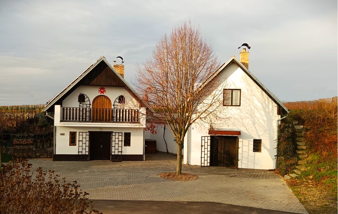 🍷 Vinařství Merlon: Moravská vína, která se podávají i na Pražském hradě 🍇