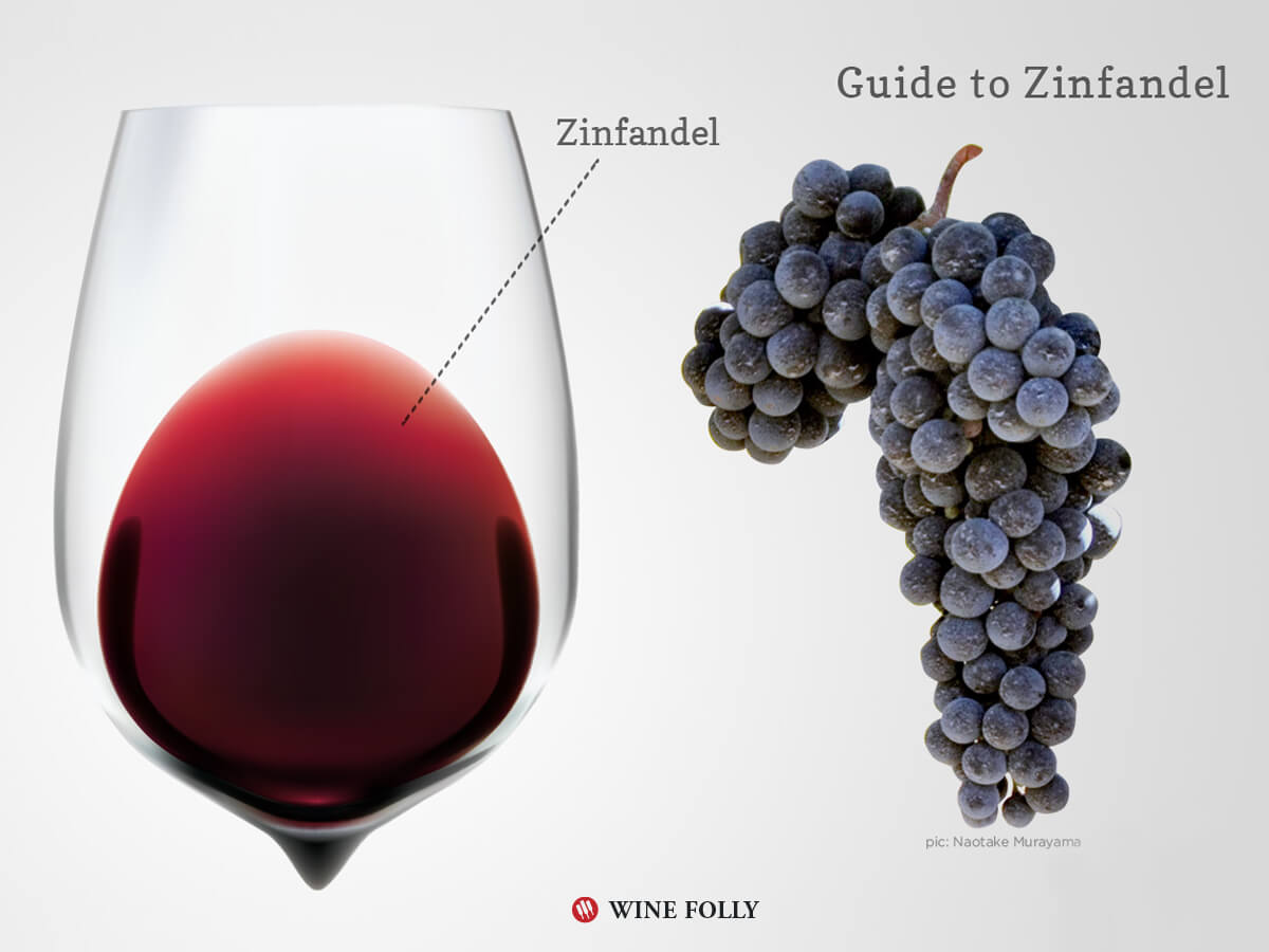 Jsou odrůdy „Primitivo“ a „Zinfandel“ stejné odrůdy?