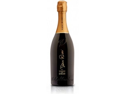 NANI RIZZI, PROSECCO VALDOBBIADENE, DOCG, EXTRA DRY, 0,75 L