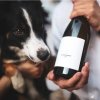 Dog in dock, chadonnay 2019, suché, pozdní sběr, 0.75 l 4