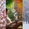 fotka ročních období a pití káva (2)