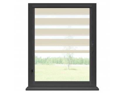 23 12 RENA DECODUM rolety DZIEN NOC antracyt Brzoskwinia