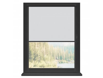 23 12 RENA DECODUM rolety TERMO antracyt Biały