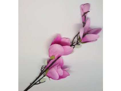 magnolie tm. růž.