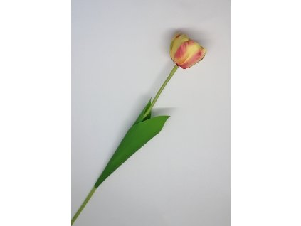 TULIPÁN TEXTIL 56 cm 4B