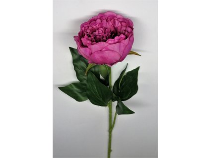 PIVOŇKA 58 CM tm. růžová