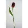 208825 bordo