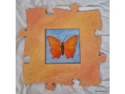 Obraz Puzzle s motýlem
