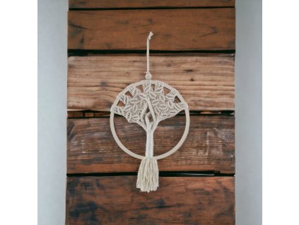 PhotoRoom 20231115 032507