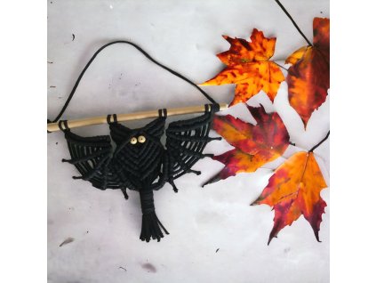 PhotoRoom 20231115 031911