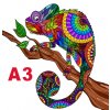 práce chameleon1 A3