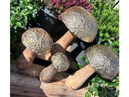 Houba dřevo- kov 04