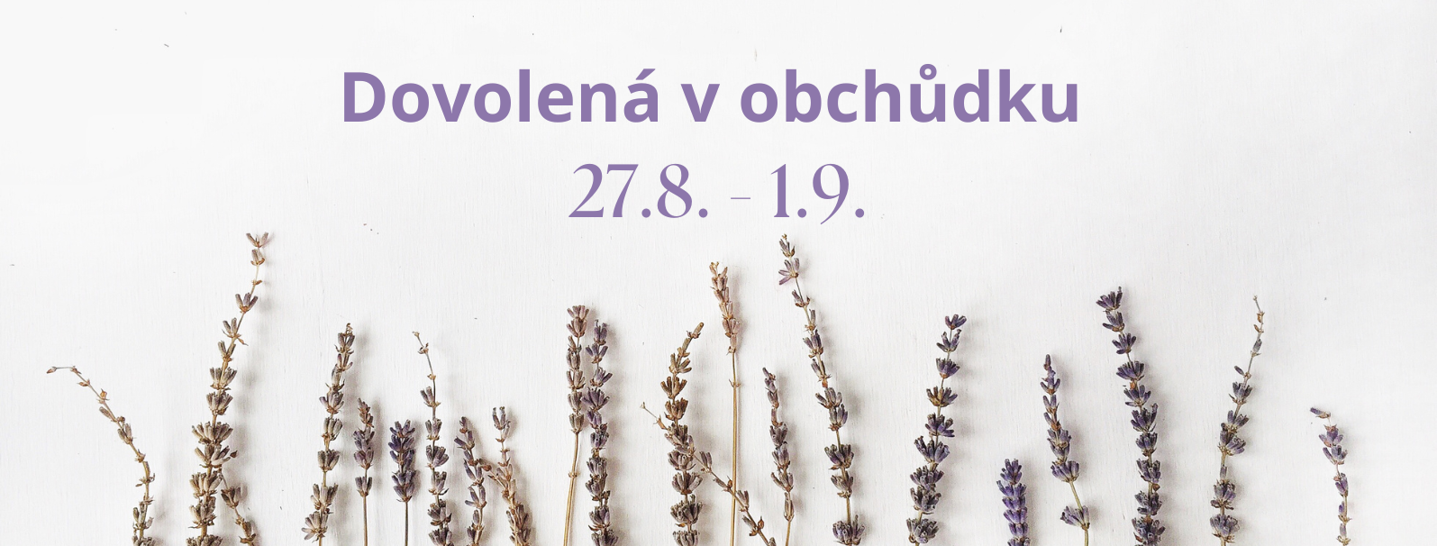 Letní dovolená