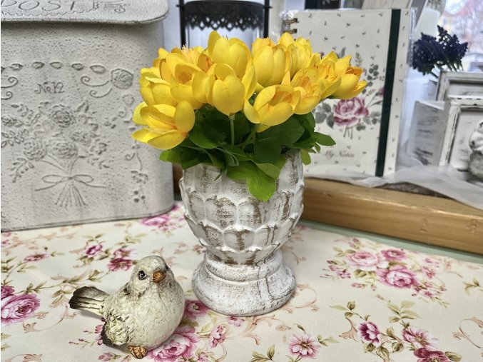 Svazek žlutých krokusů