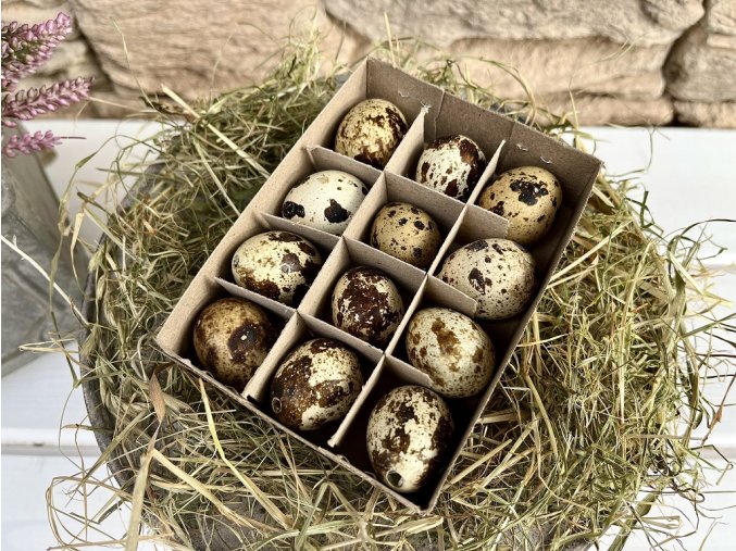 Krepelci vajicka box 12 ks