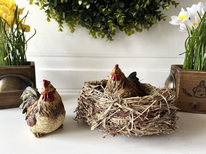 Hnědá slepička a kohoutek