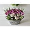 Jarni dekorace v plechove nadobe s fialovymi krokusy 2