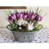 Jarni dekorace v plechove nadobe s fialovymi krokusy