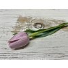 Umělý tulipán - barevné varianty