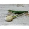 Umělý tulipán - barevné varianty