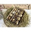 Krepelci vajicka box 12 ks