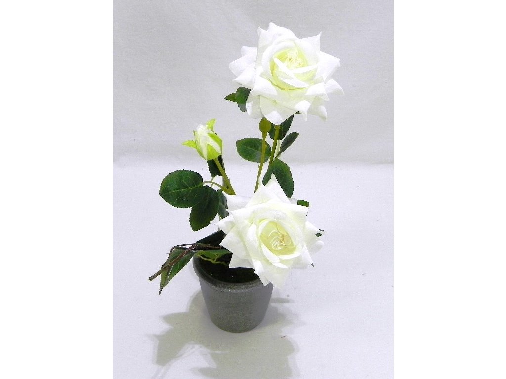RUŽE v kvetináči 35 cm
