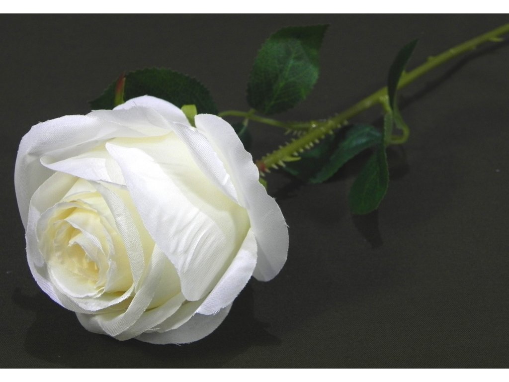 RUŽA textilná biela 50 cm