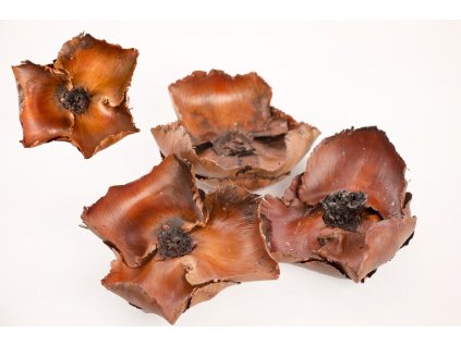 Palmová miska  12 cm