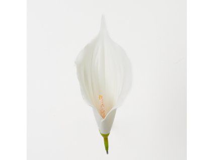 30814 02 pure white