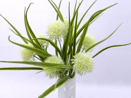 Doplnková zeleň s cesnakovými kvetmi 30-40 cm