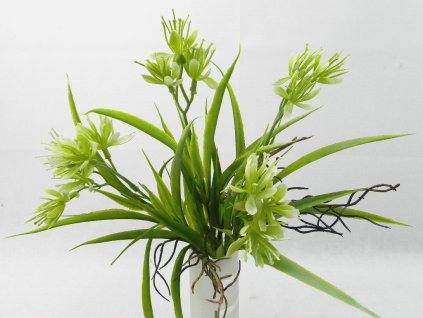 Doplnková zeleň 35 cm