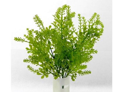 Doplnková zeleň 36 cm