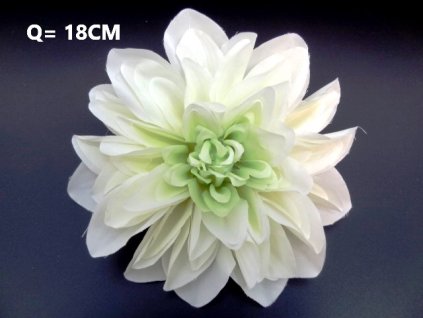 Dalia hlava 18 cm
