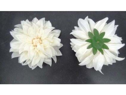 Dalia hlava 20 cm