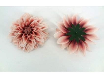 Dalia hlava 20 cm