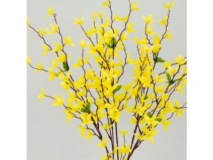 ZLATÝ DÁŽĎ 73 cm