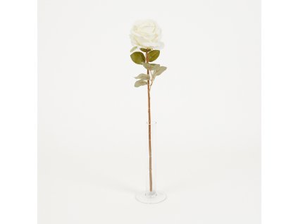 RUŽA ks 50 cm