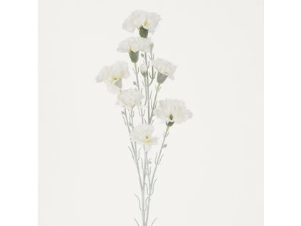 Karafiáty trs 72 cm