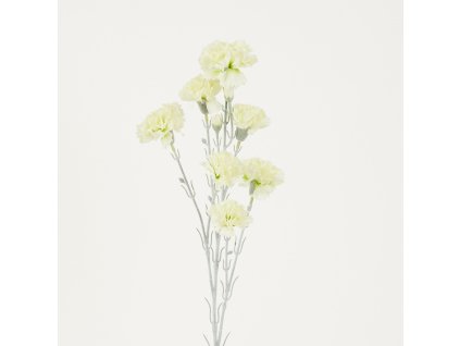 Karafiáty trs 72 cm